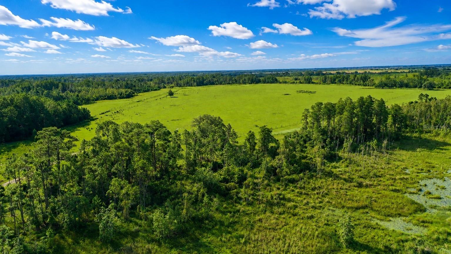 Photo of OLD POLK CITY ROAD POLK CITY FL 33868