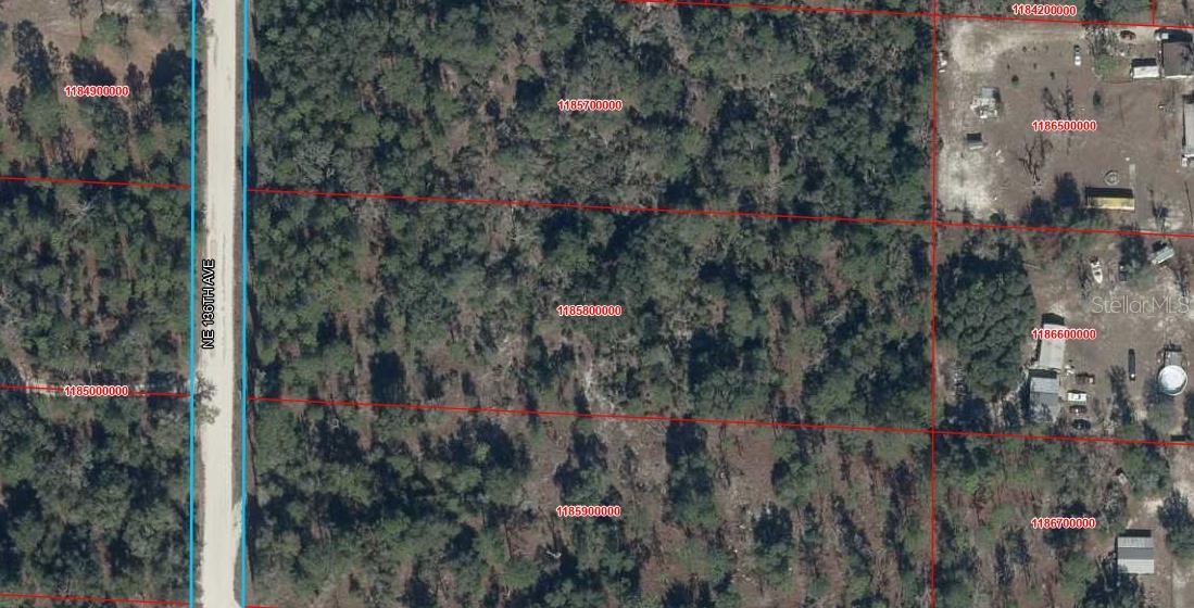 Photo of 0000 NE 136TH AVENUE WILLISTON FL 32696