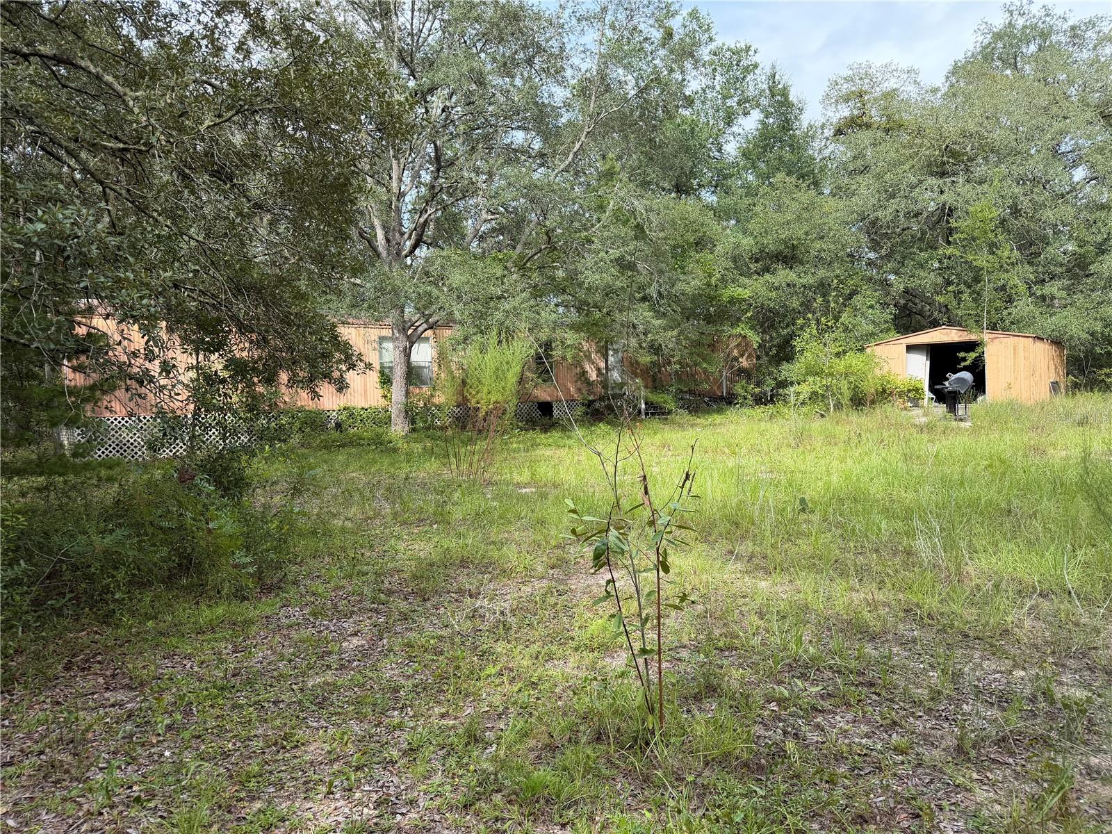 Photo of 11590 NE 88TH LANE BRONSON FL 32621