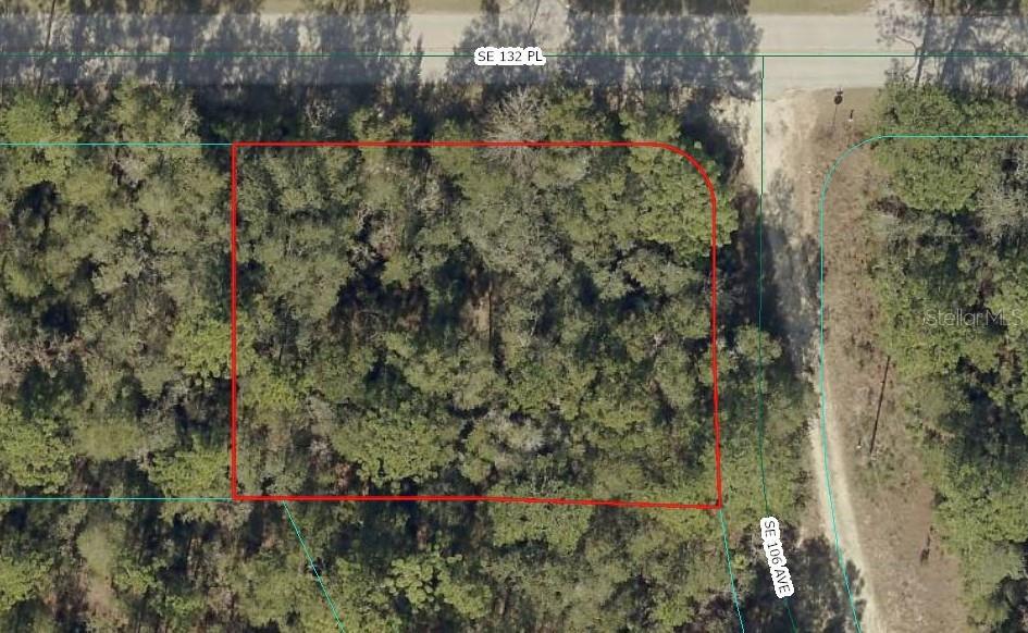 Photo of 00 SE 132ND PLACE OCKLAWAHA FL 32179