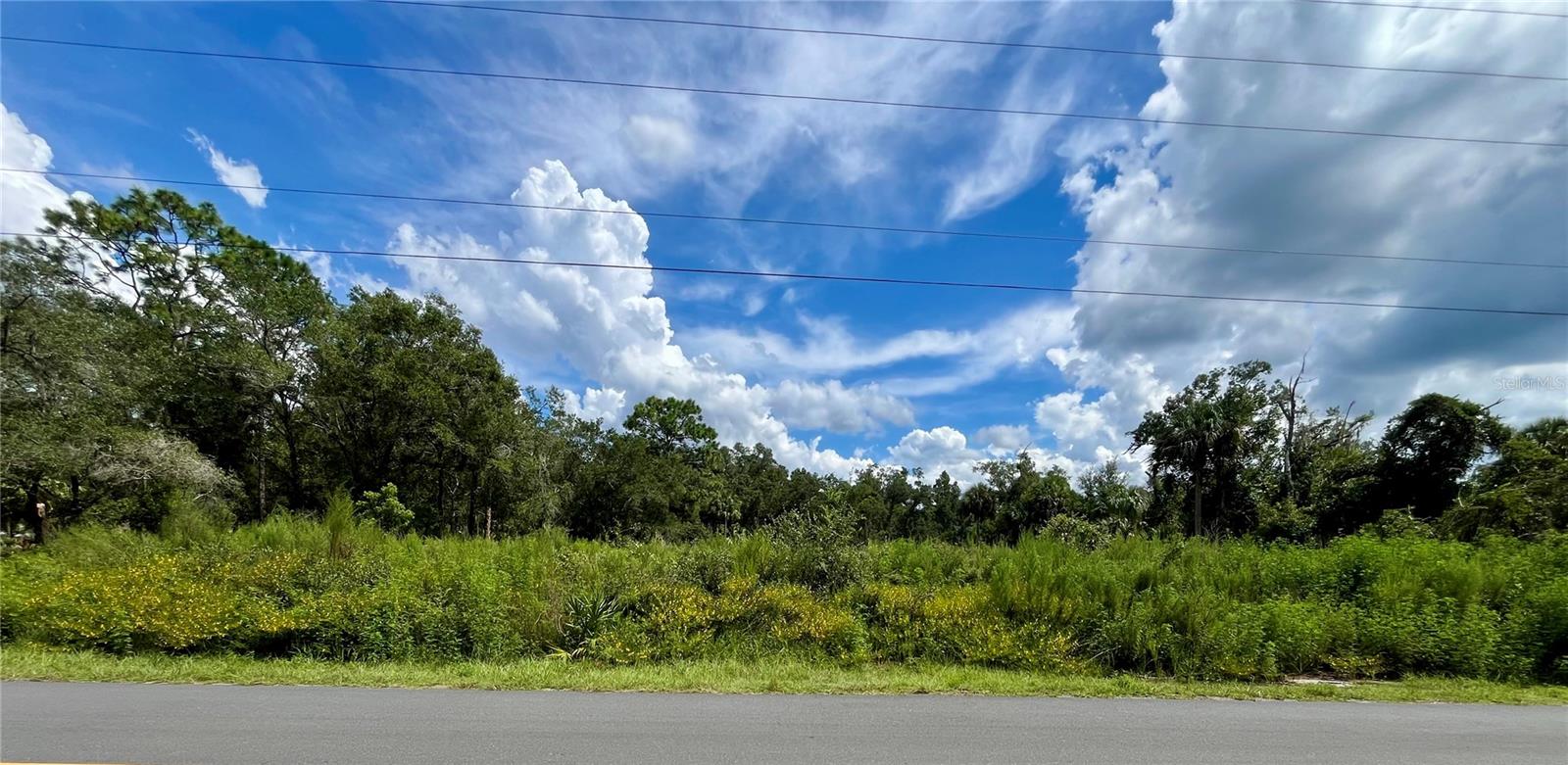 Photo of 12362 W RIVERWOOD DRIVE CRYSTAL RIVER FL 34428