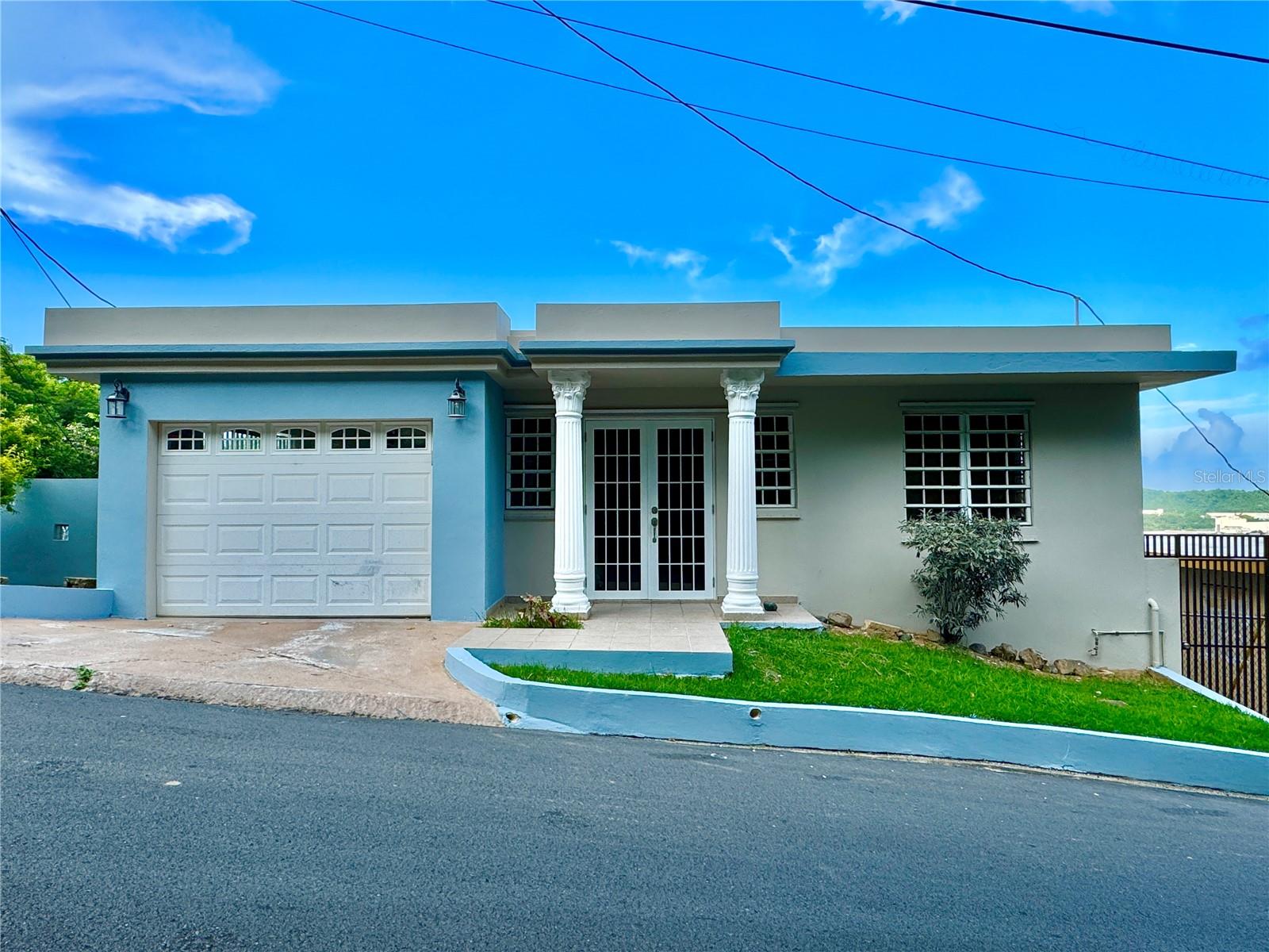 Photo of Junquito CLAVEL HUMACAO PR 00791
