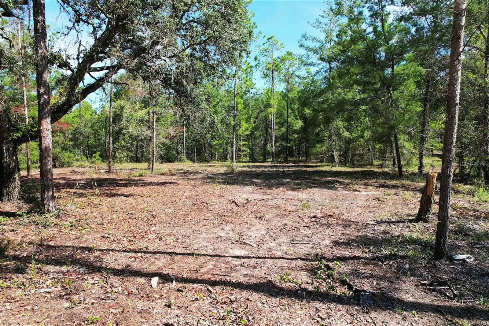 Photo of SE 6TH LANE WILLISTON FL 32696
