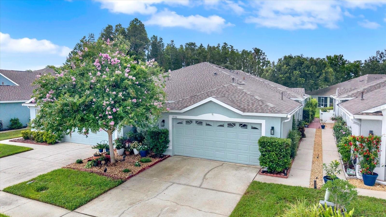 Photo of 19144 WEYMOUTH DRIVE LAND O LAKES FL 34638