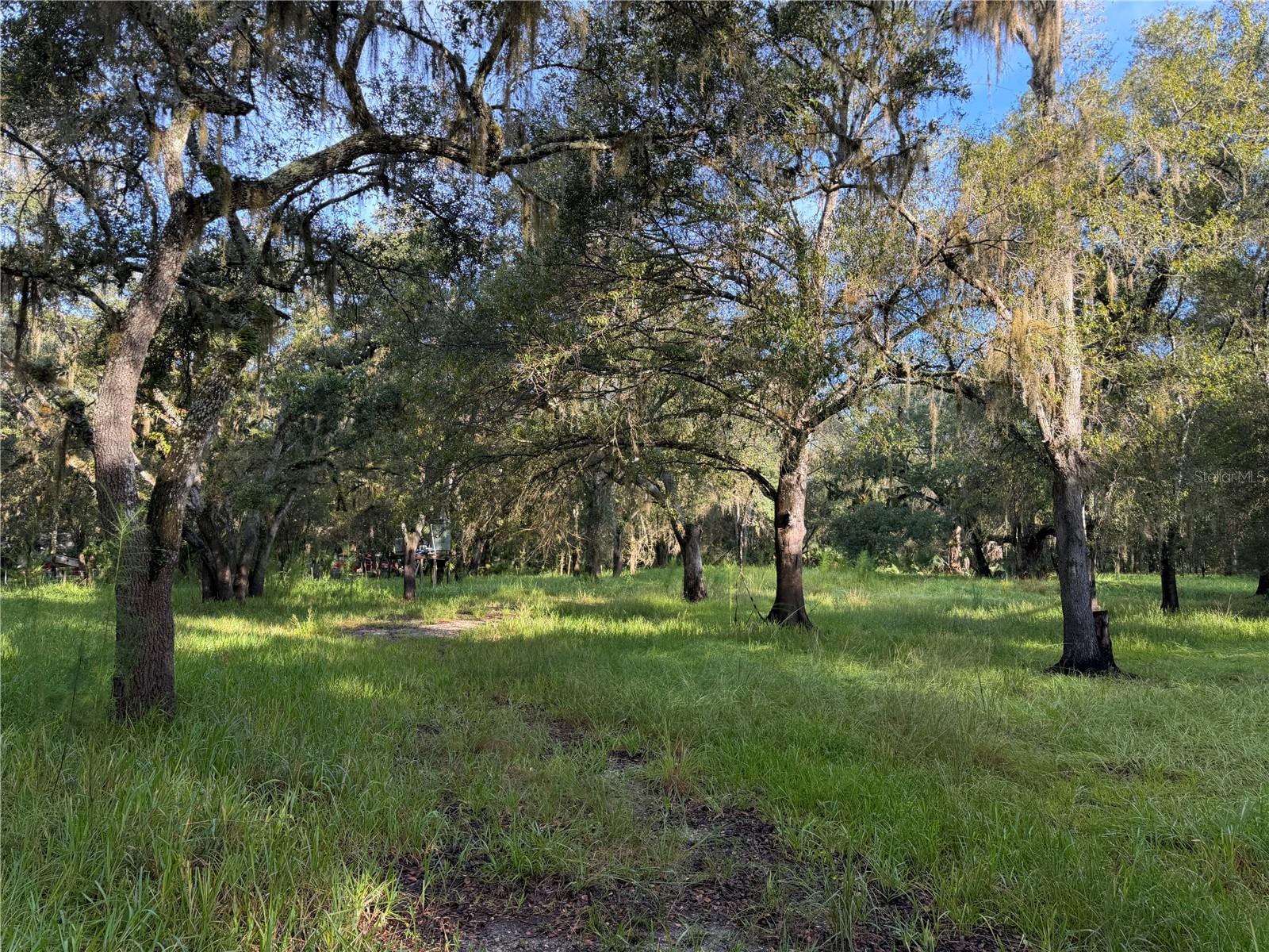 Photo of 1284 NE RIVER MILL DRIVE ARCADIA FL 34266