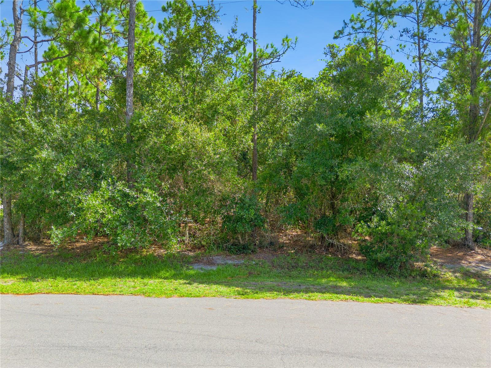 Photo of MUSTANG ST CLOUD FL 34771