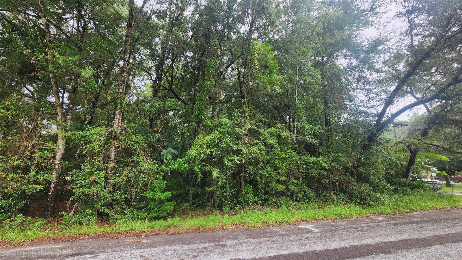 Photo of 3874 S GEMINI POINT HOMOSASSA FL 34448