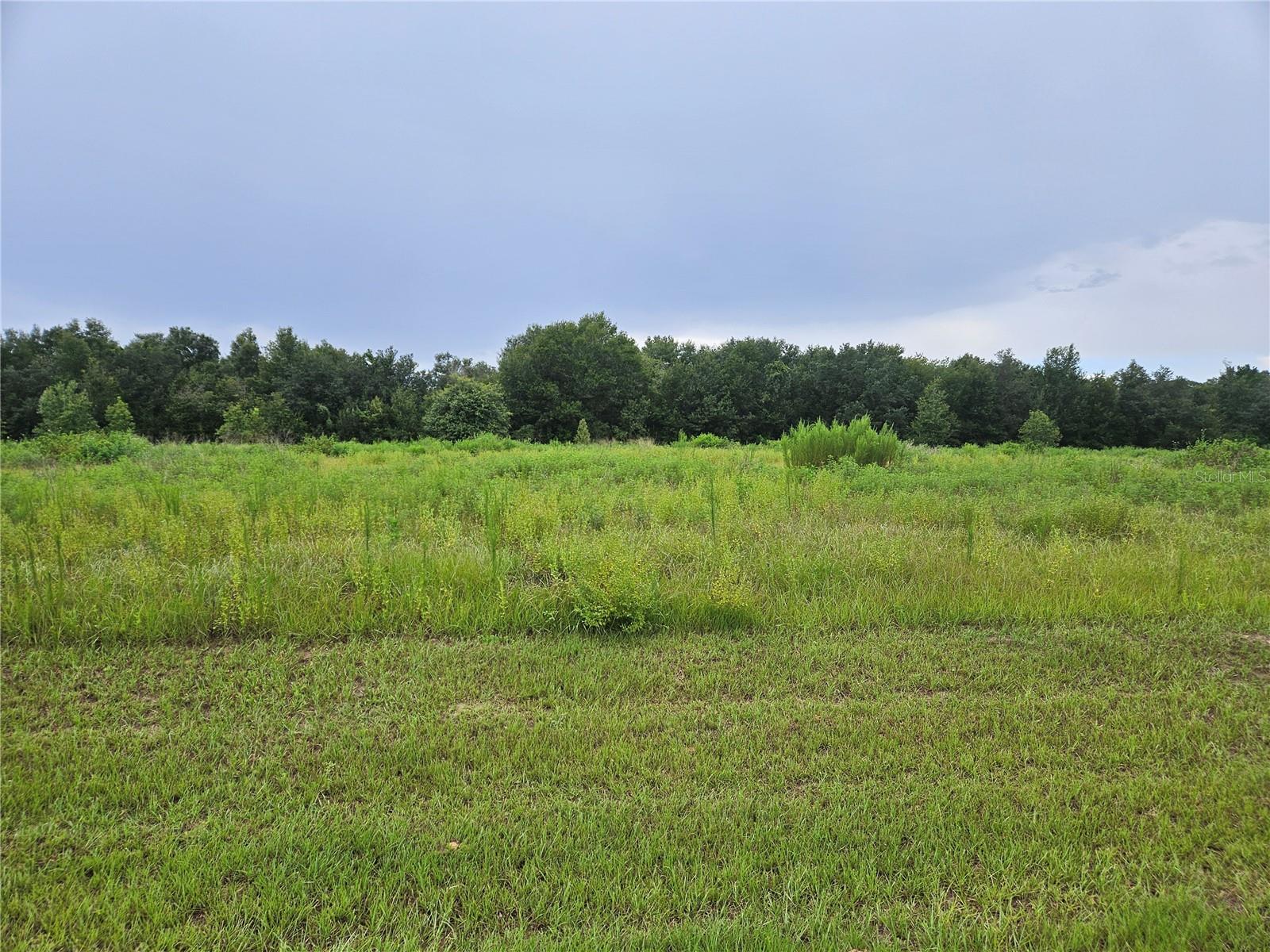 Photo of 8881 VALERIE COURT ZEPHYRHILLS FL 33540