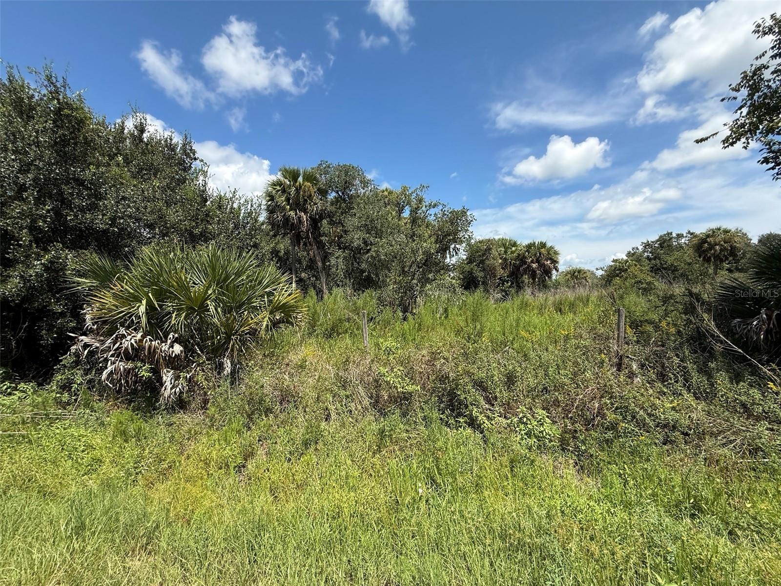 Photo of 19145 NW 302ND STREET OKEECHOBEE FL 34972