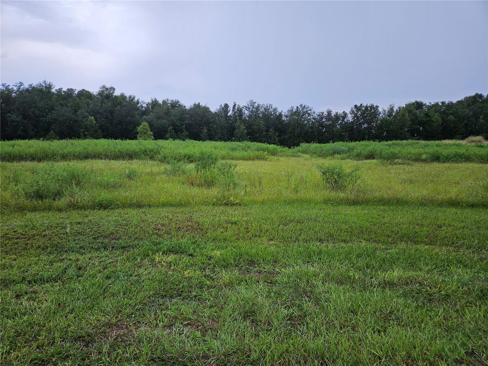 Photo of 8801 VALERIE COURT ZEPHYRHILLS FL 33540