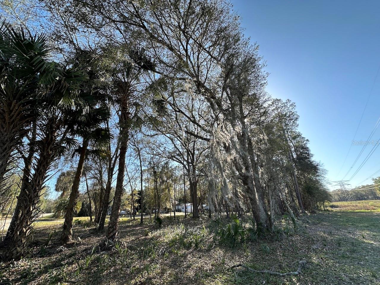 Photo of TBD NE 151 LANE FORT MC COY FL 32134