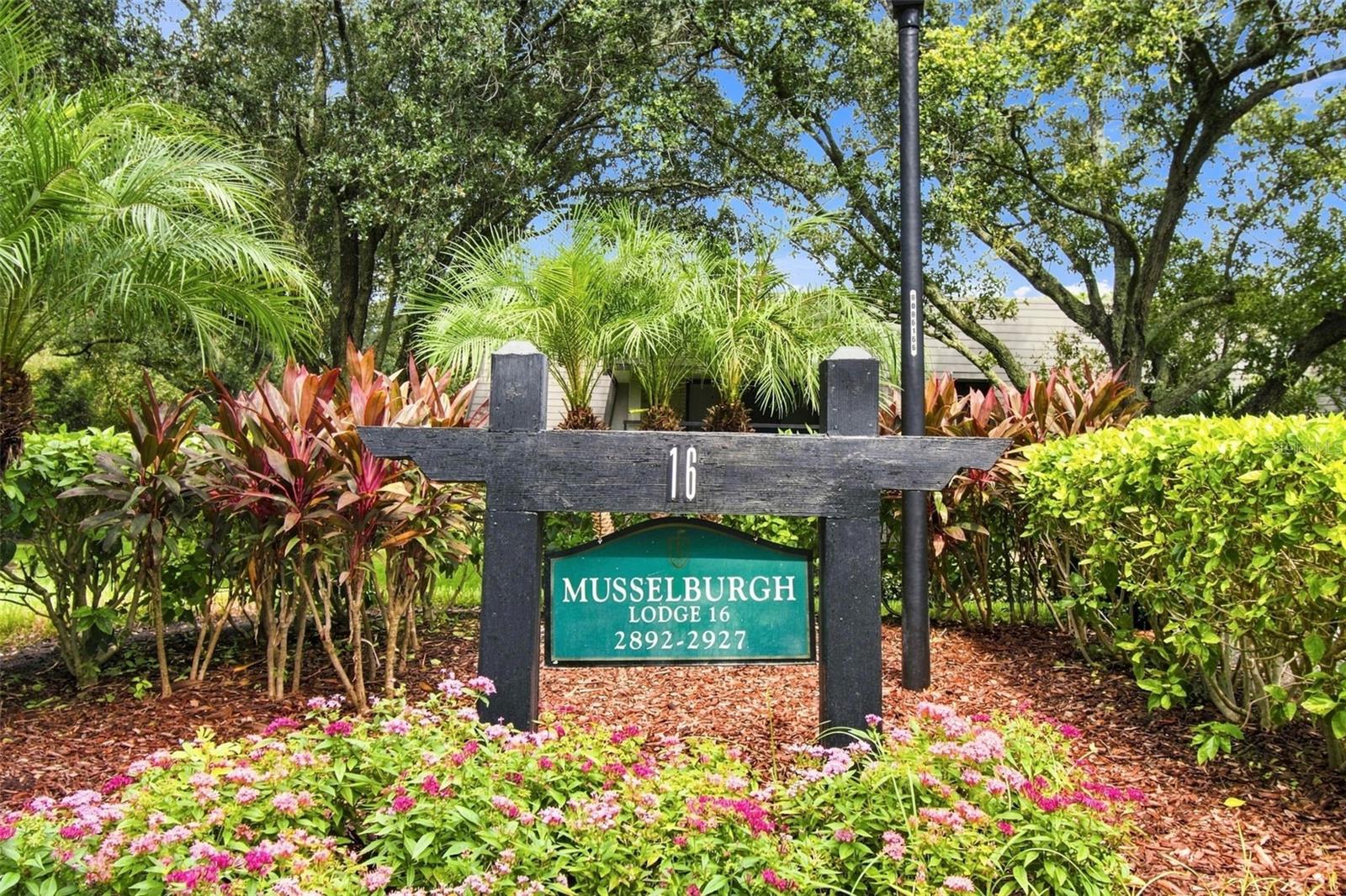 Photo of 36750 US HIGHWAY 19 #16204 PALM HARBOR FL 34684