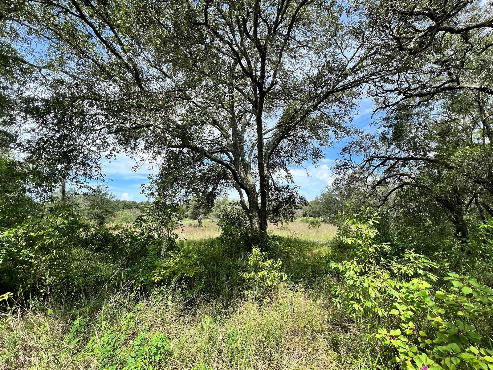 Photo of 13339 VIVIAN LANE HUDSON FL 34669