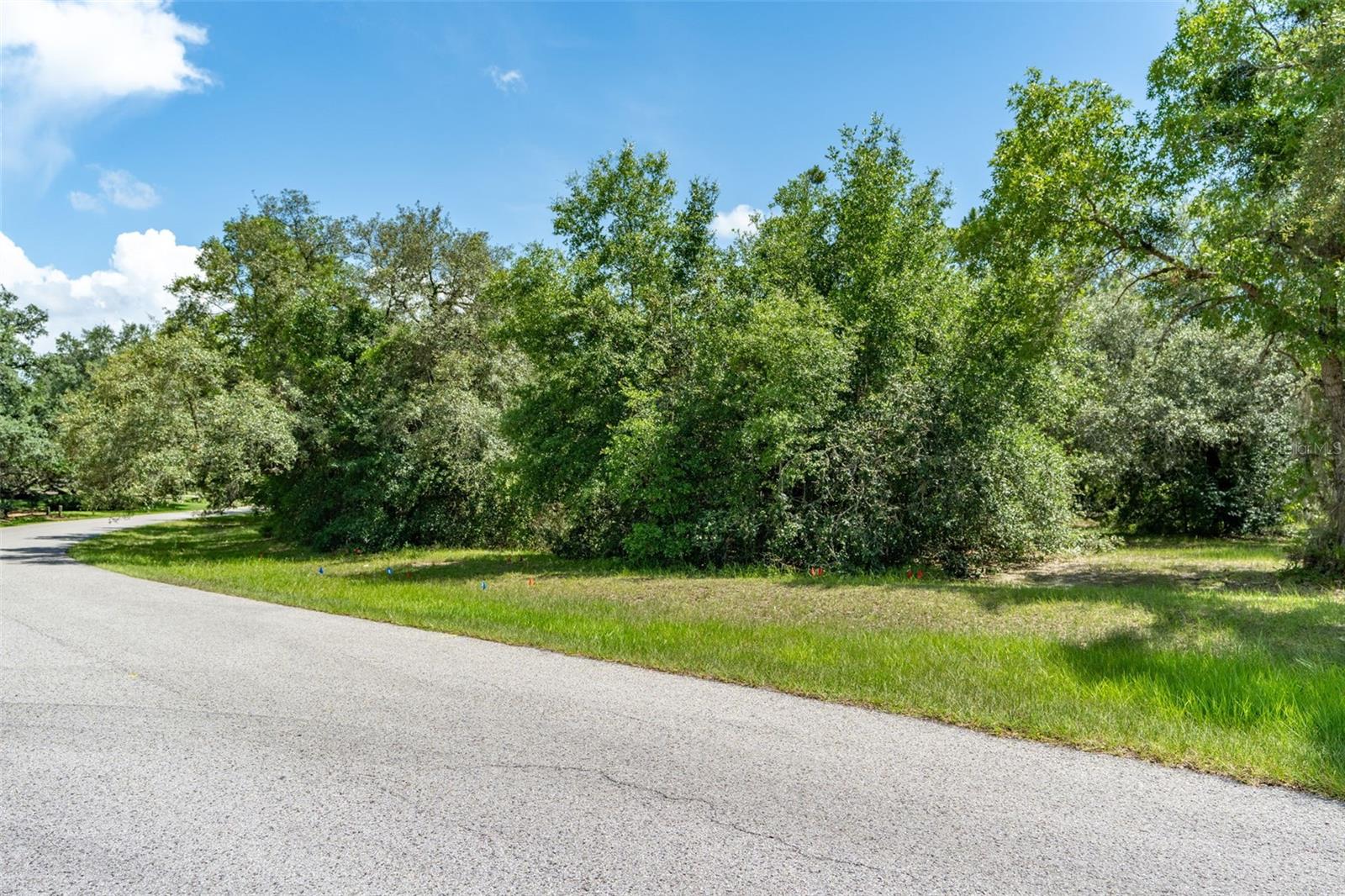 Photo of 4695 N PINE VALLEY LOOP LECANTO FL 34461