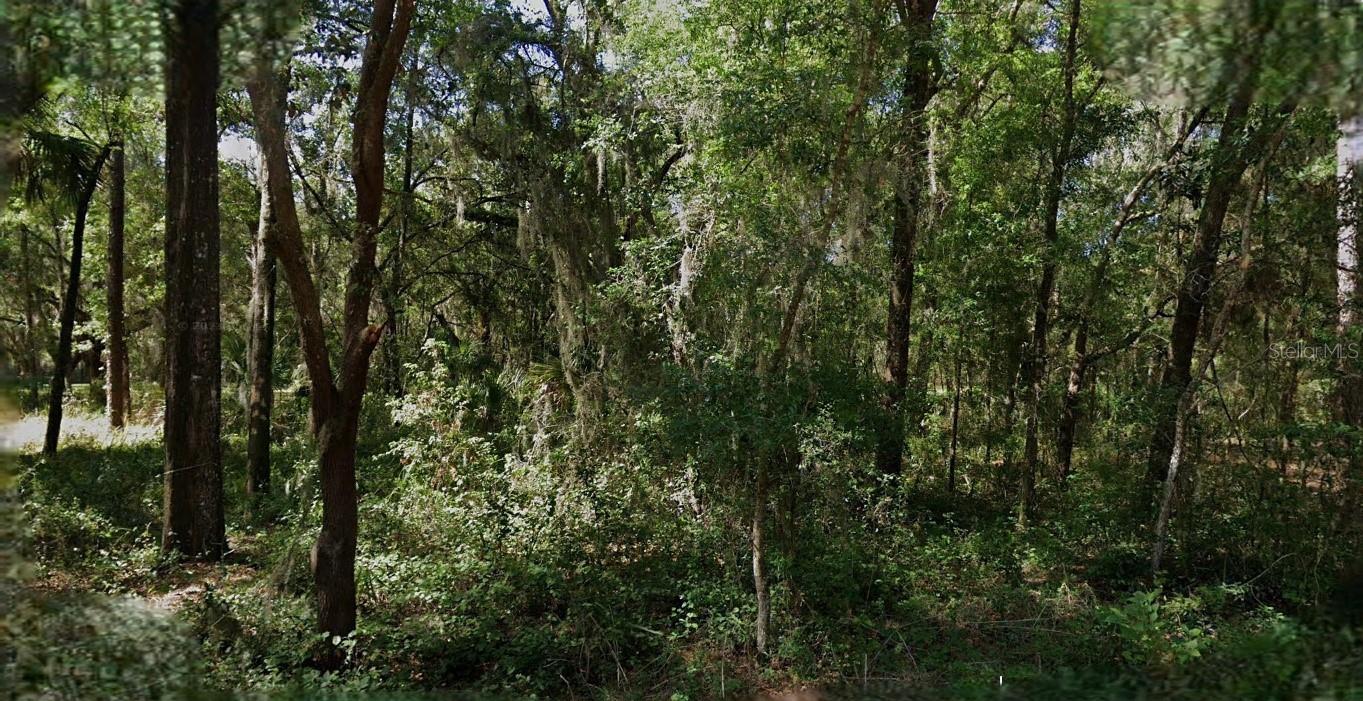 Photo of 8430 W RAINBOW OAKS COURT CRYSTAL RIVER FL 34428