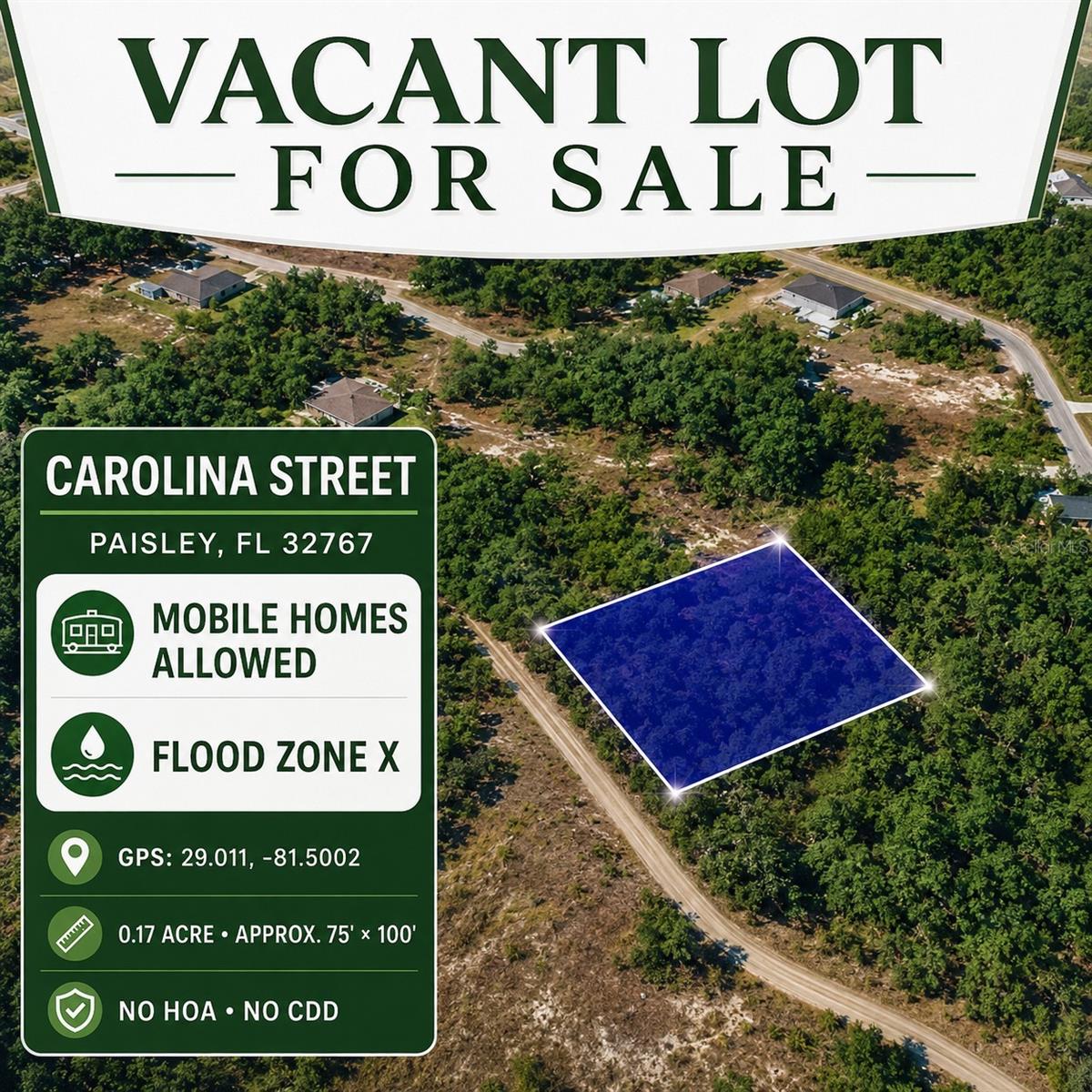 Photo of CAROLINA STREET PAISLEY FL 32767