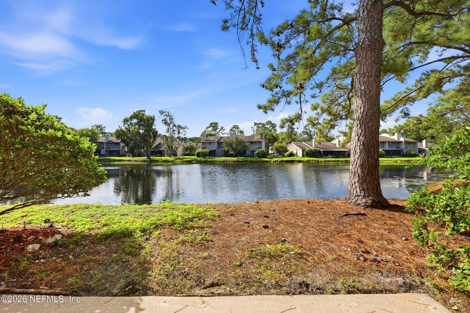 Photo of 3801 CROWN POINT ROAD #2093 JACKSONVILLE FL 32257