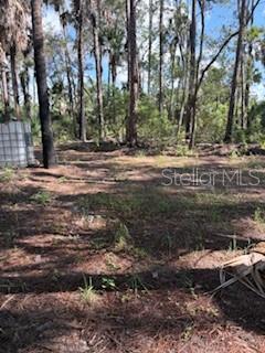 Photo of 37610 OAKLEE ROAD UMATILLA FL 32784