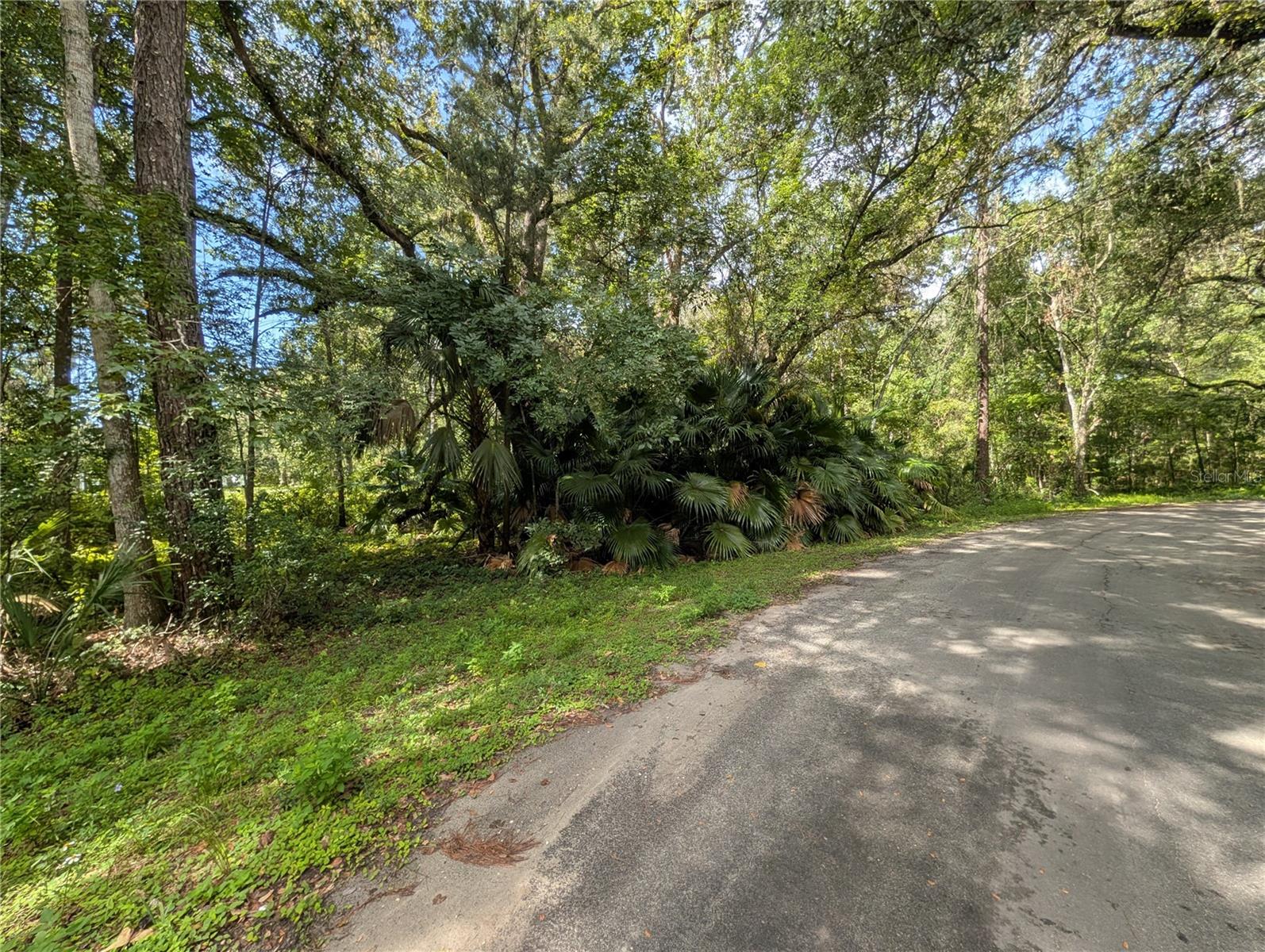 Photo of 0 WILDWOOD DRIVE BROOKSVILLE FL 34601