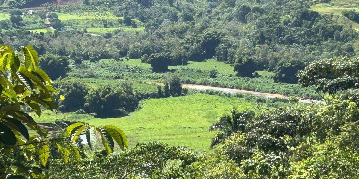 Photo of Carr 424 BO GUACIO SAN SEBASTIAN PR 00685