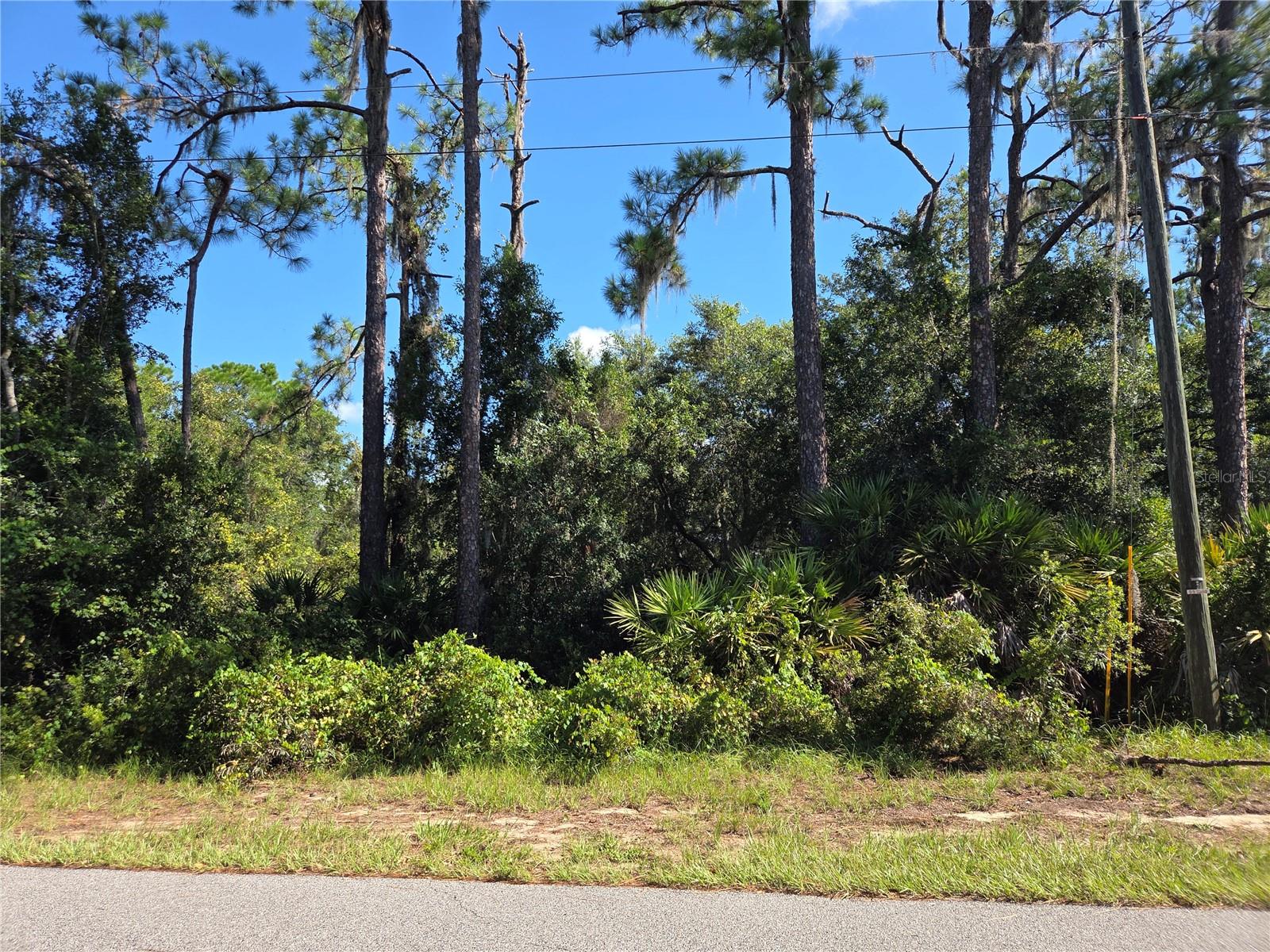 Photo of DEER ROAD FROSTPROOF FL 33843