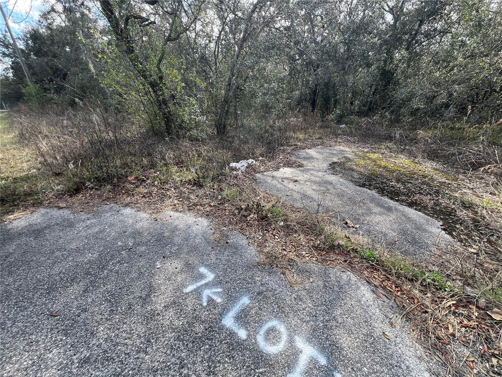 Photo of LOT 7 HAYS RD HUDSON FL 34669