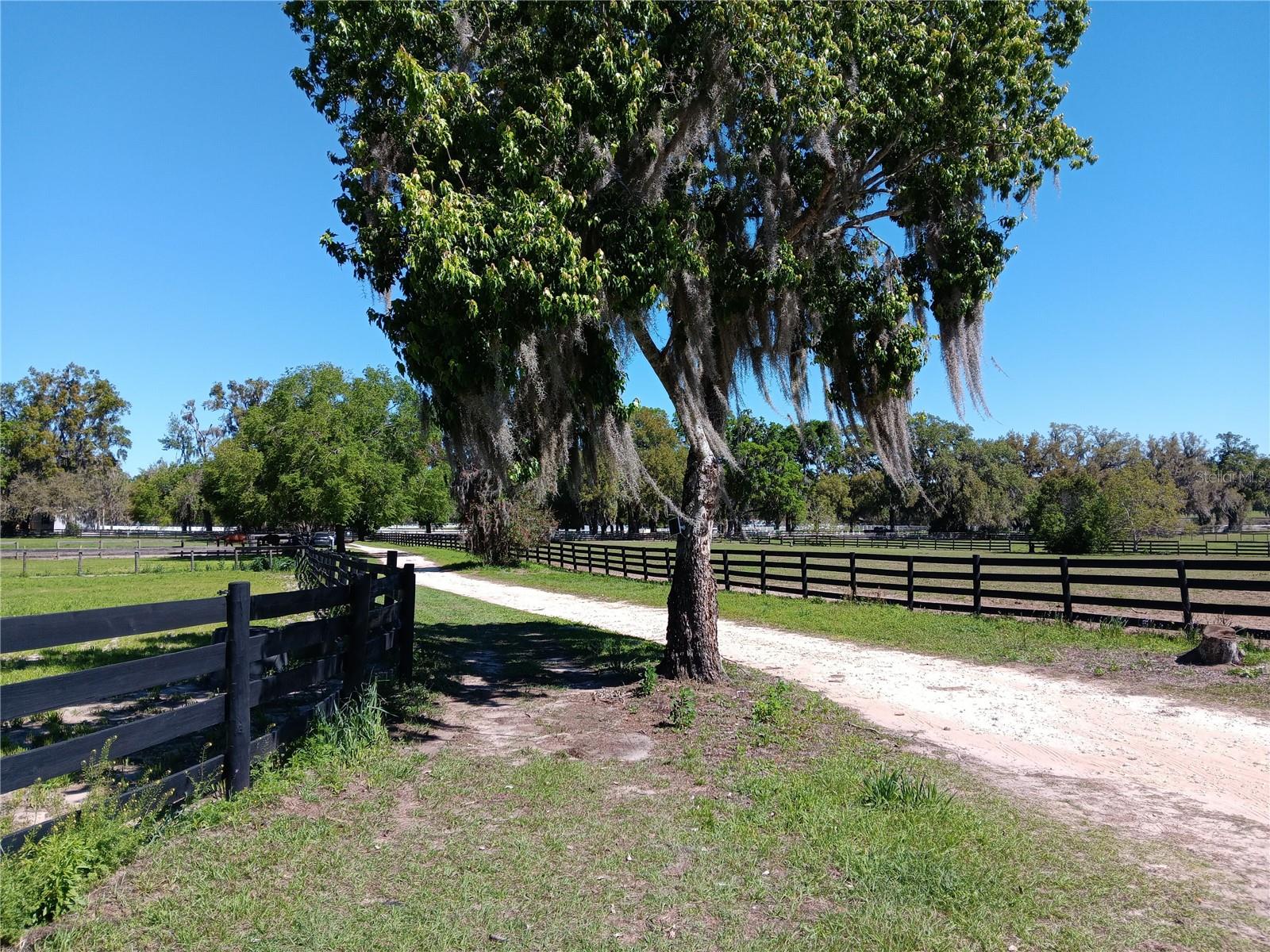 Photo of 2630 NW 140TH STREET CITRA FL 32113