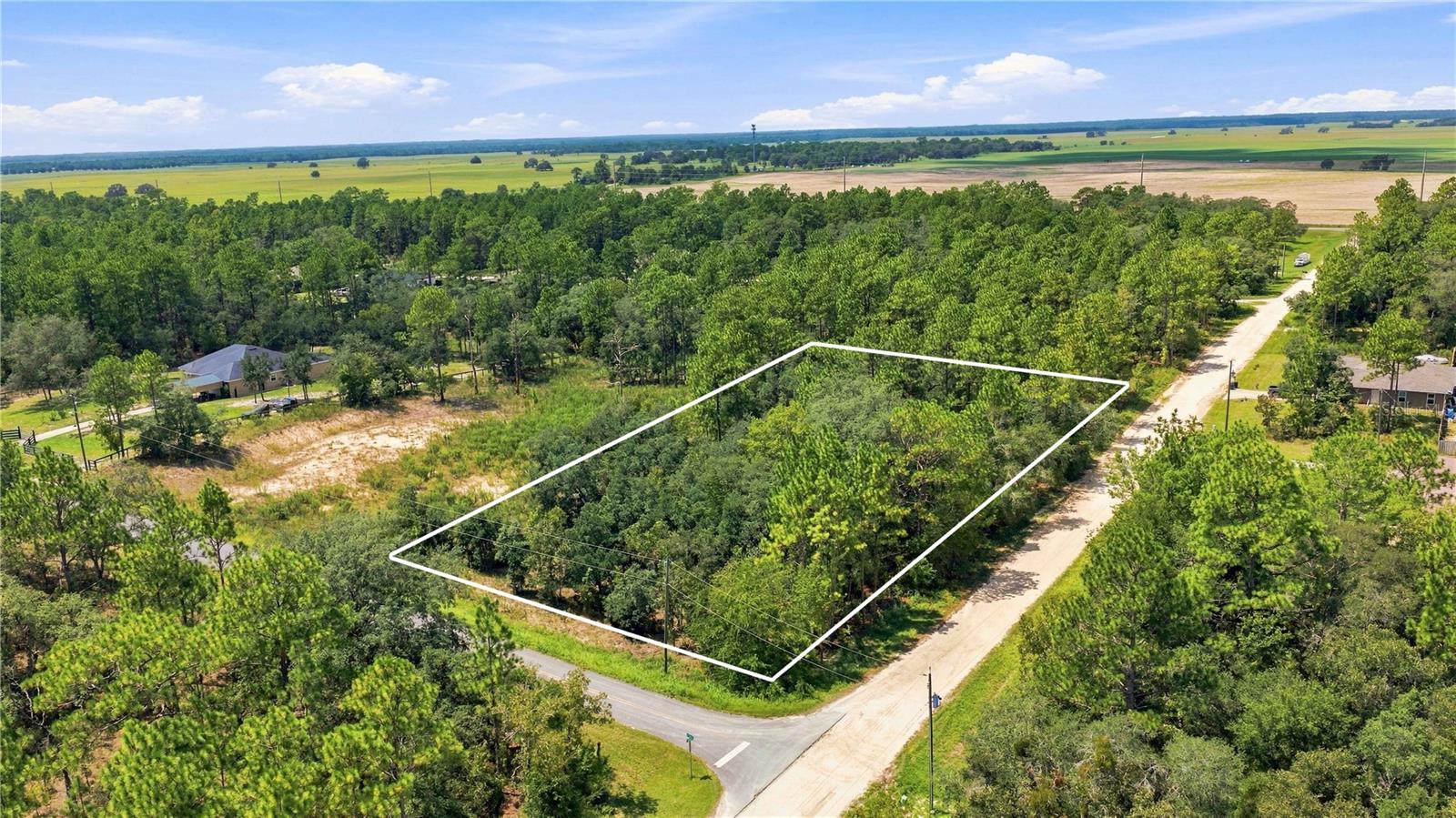 Photo of Lot 14 SW 81 ST. & SW 137TH CT. DUNNELLON FL 34432