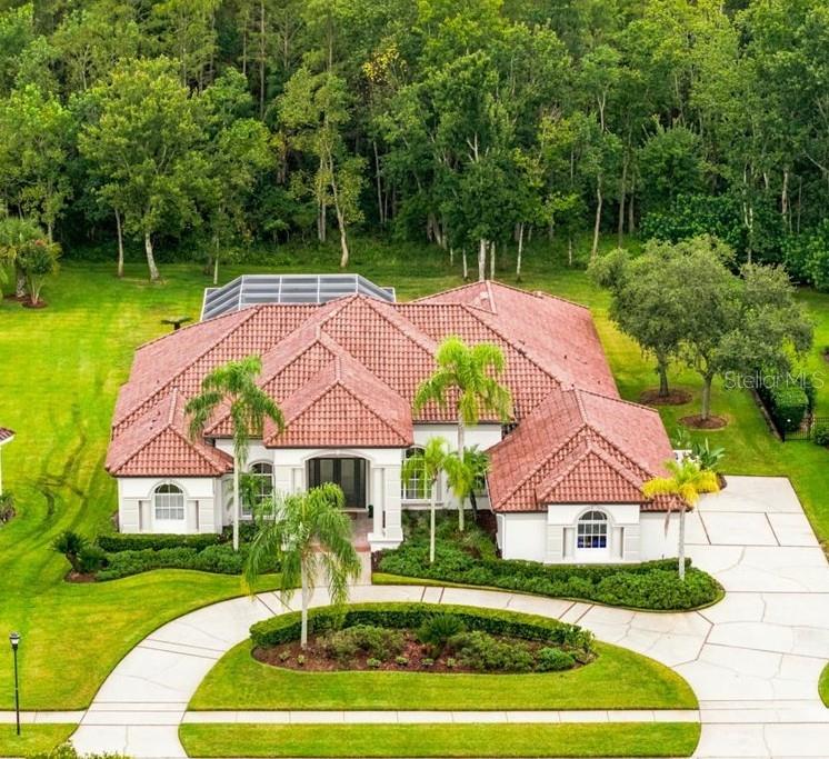 Photo of 4626 RUE BORDEAUX DRIVE LUTZ FL 33558