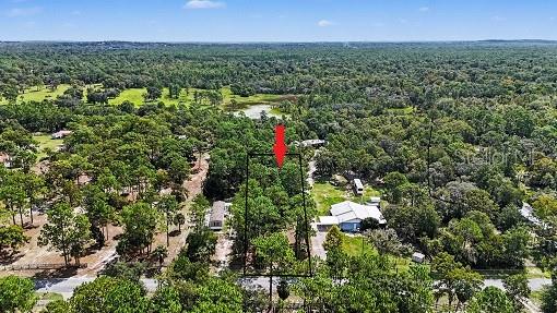 Photo of 1393 S CANDLENUT AVENUE HOMOSASSA FL 34448