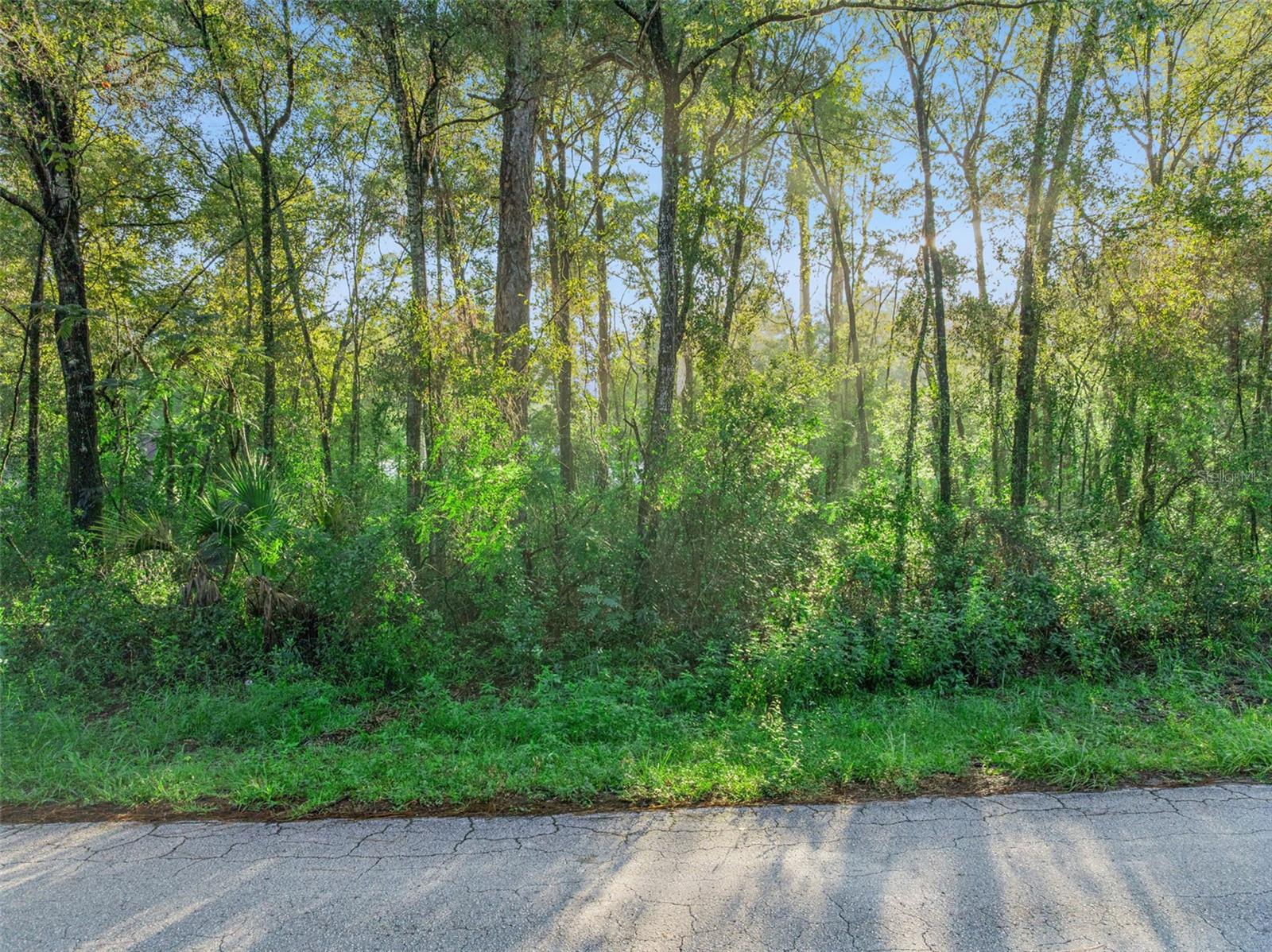 Photo of 29 N ROOKS AVENUE INVERNESS FL 34453