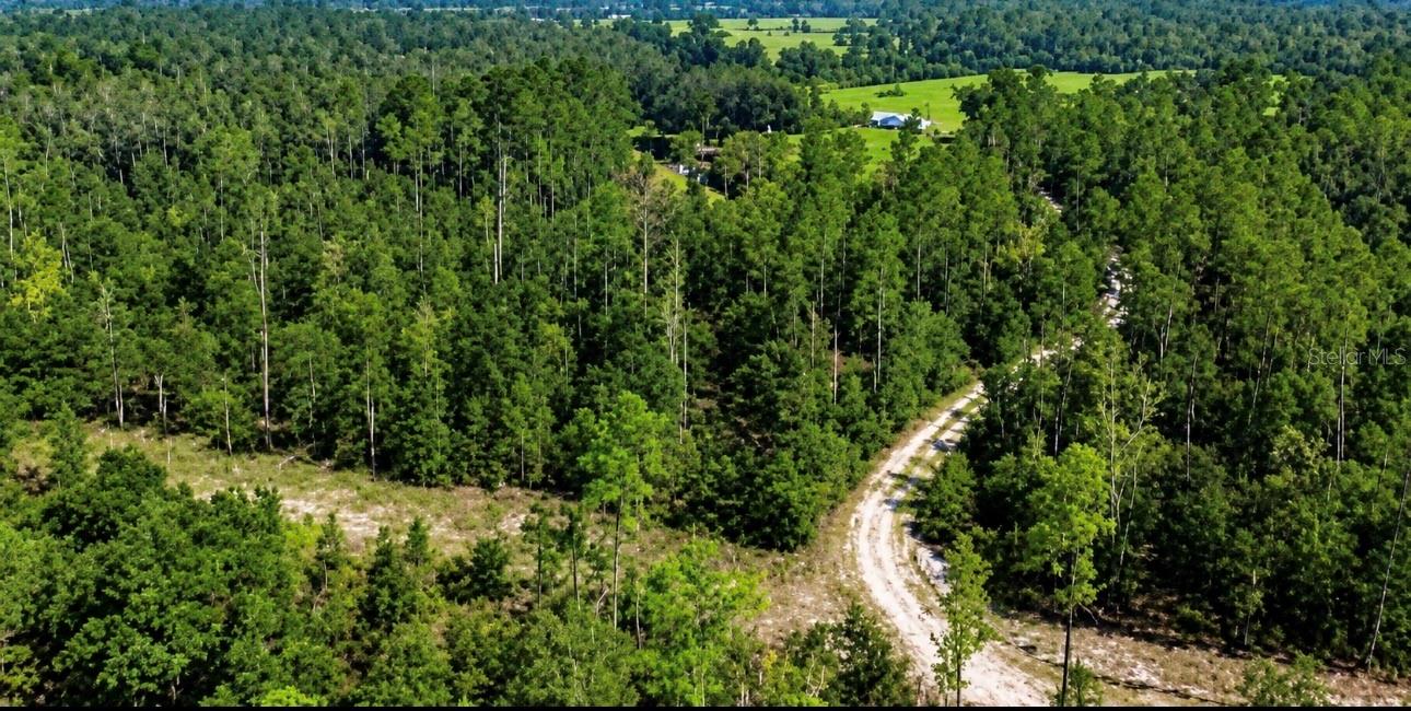 Photo of SW CO RD 249 JASPER FL 32052