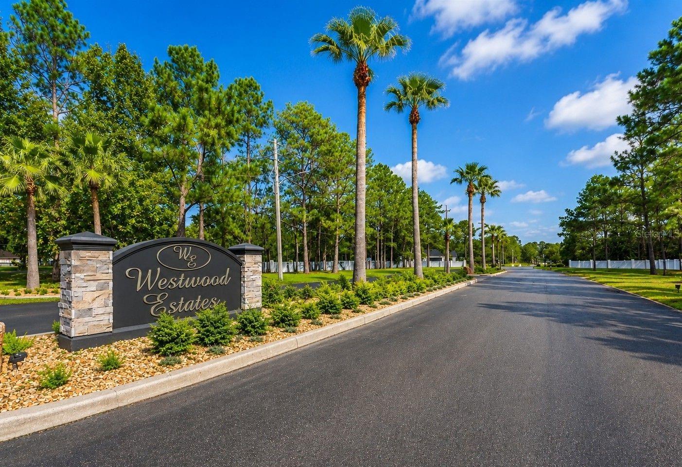 Photo of 8541 WOODLEAF BOULEVARD WESLEY CHAPEL FL 33544