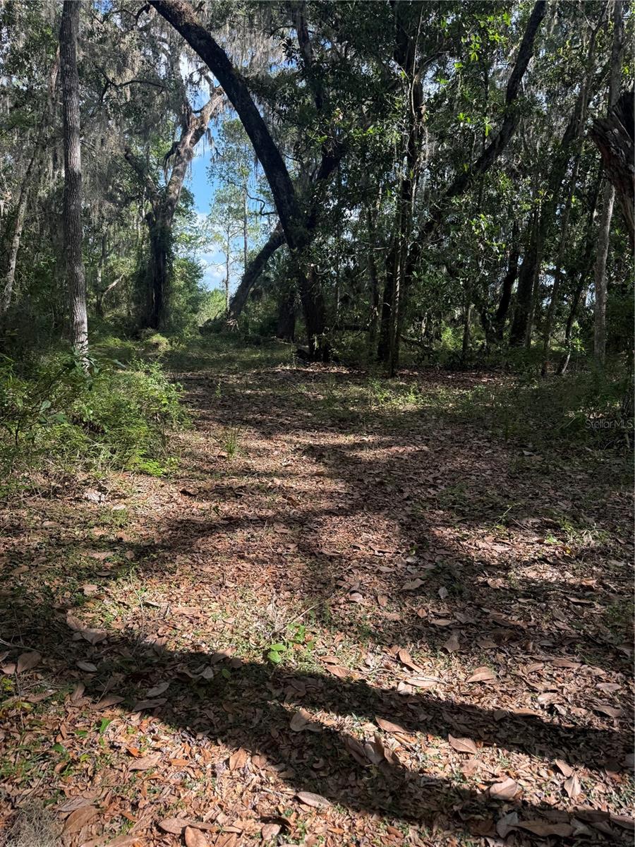 Photo of 5612 E HIGHWAY 316 CITRA FL 32113