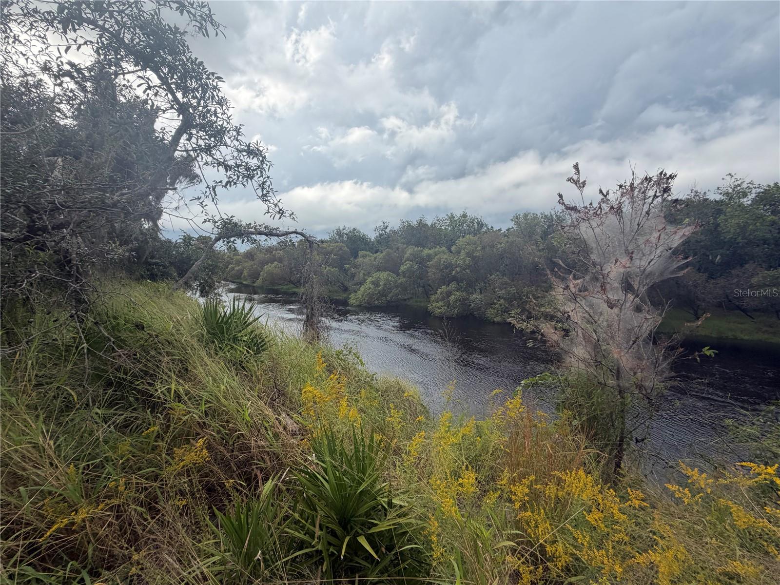 Photo of 1234 NW PEACE POINTE DRIVE ARCADIA FL 34266