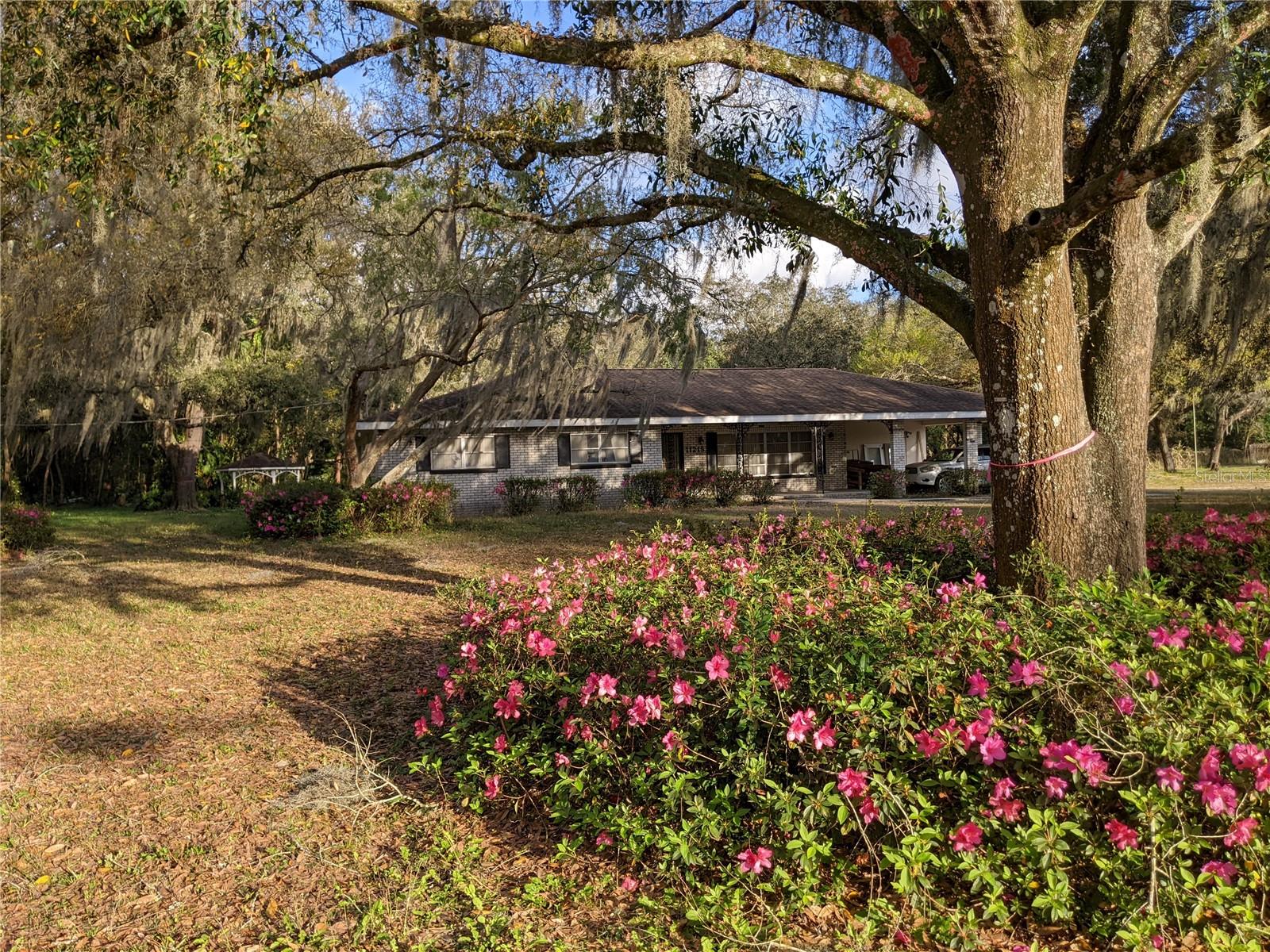 Photo of 11215 DAVIS ROAD TAMPA FL 33637