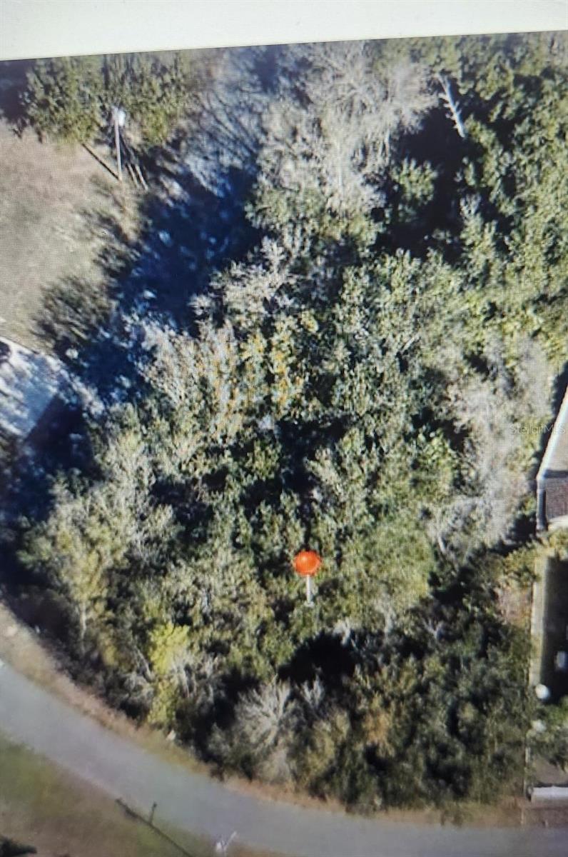 Photo of 338 MEDINA CT POINCIANA FL 34758