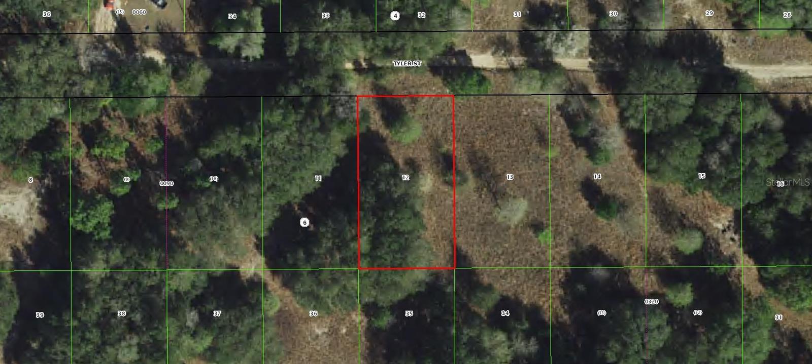 Photo of 2409 TYLER STREET INVERNESS FL 34453