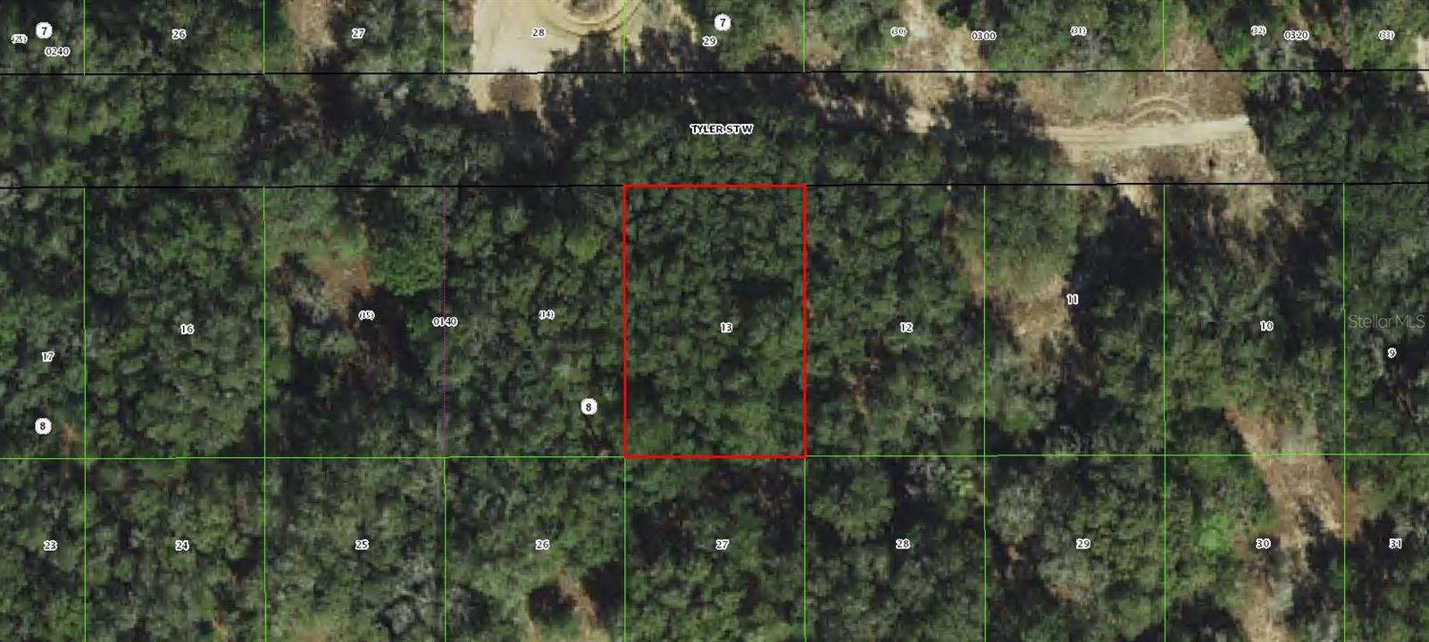Photo of 2911 TYLER STREET INVERNESS FL 34453