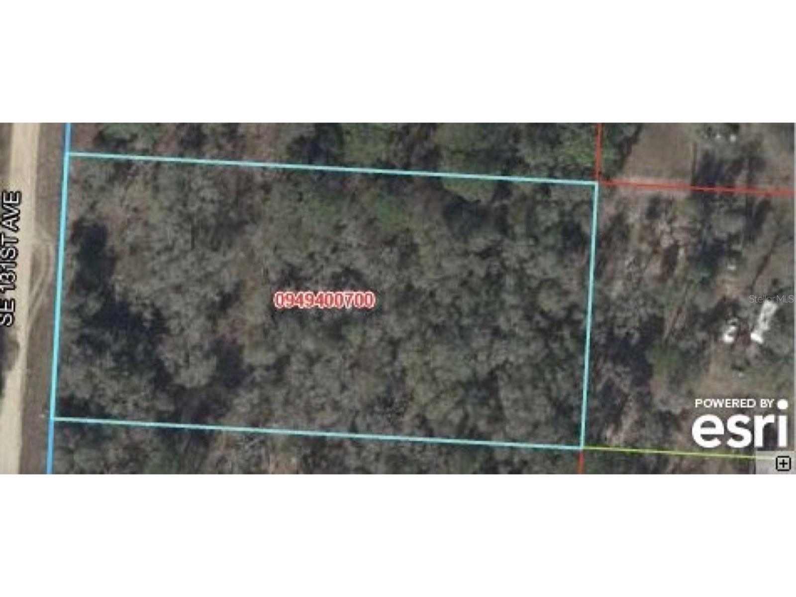 Photo of 131 MORRISTON FL 32668