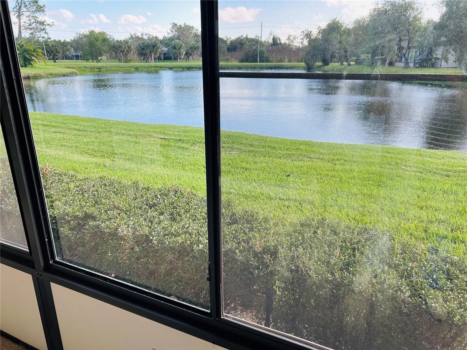 Photo of 60 KAY COURT #. OLDSMAR FL 34677