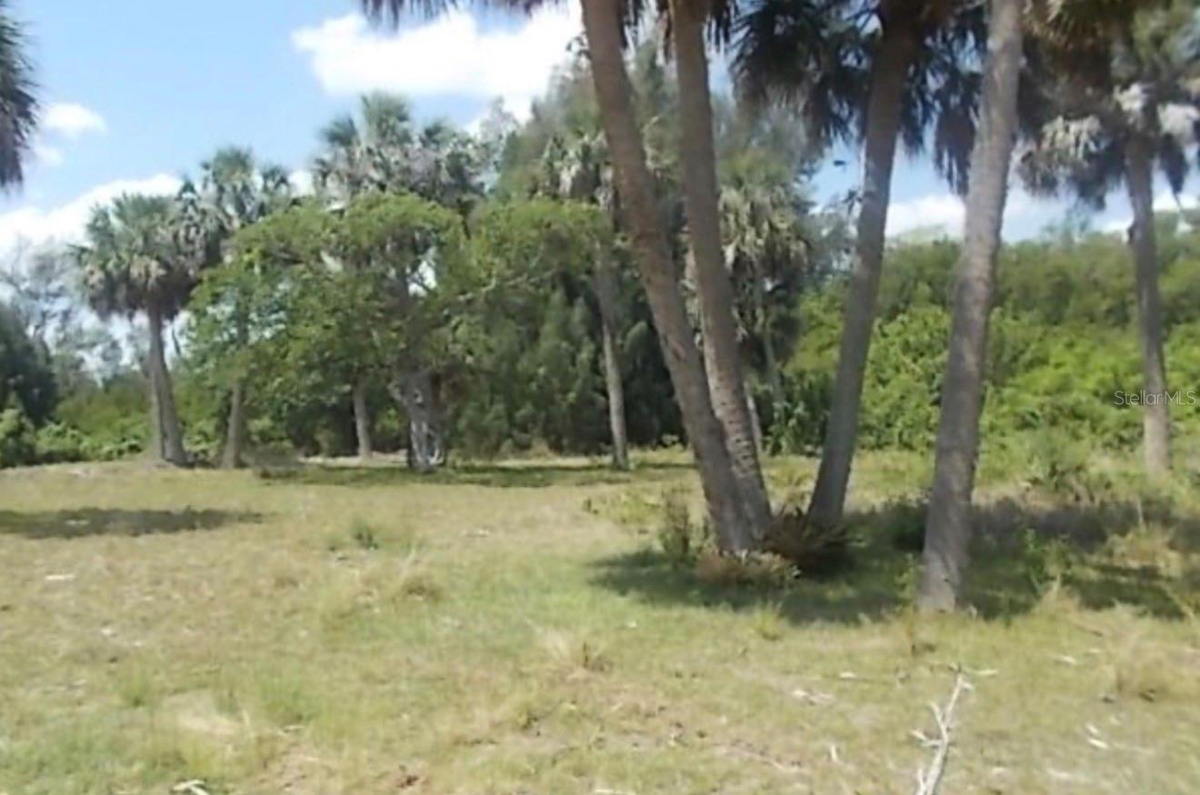 Photo of Lot 13 GRANT ISLAND ESTATES GRANT VALKARIA FL 32949