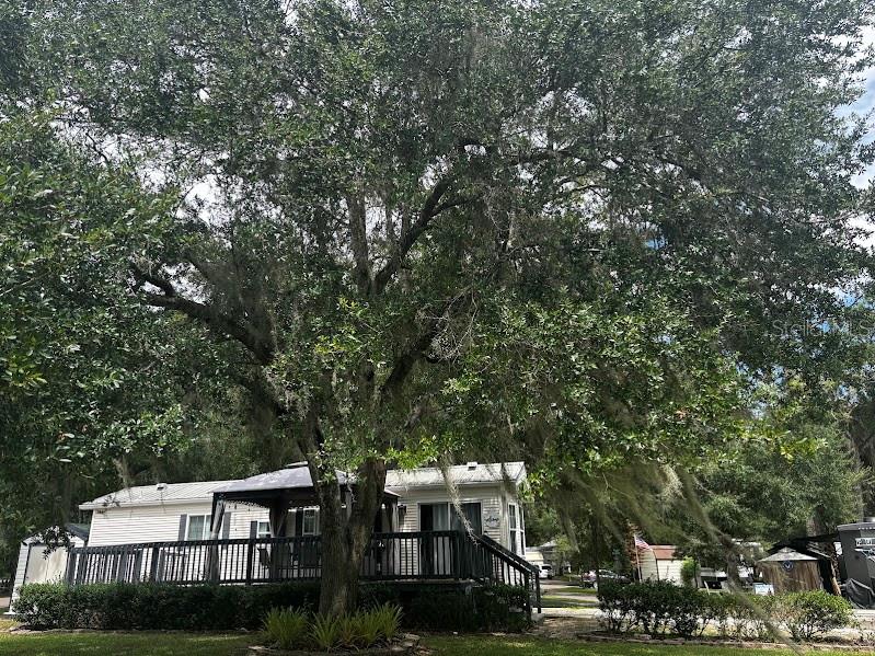 Photo of 14104 253RD AVENUE ROAD #398 FORT MC COY FL 32134