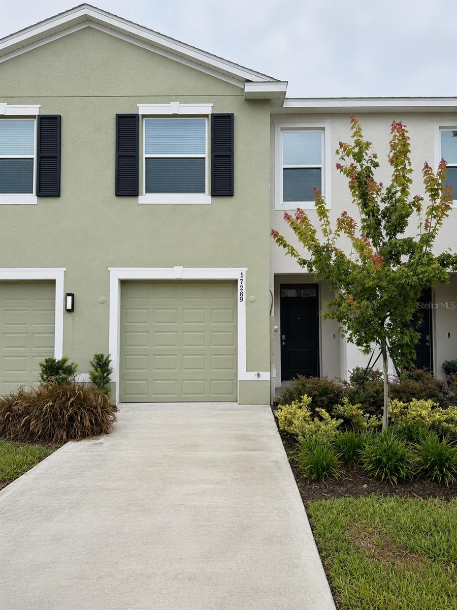 Photo of 17269 BIGLEAF MAHOGANY LANE LAND O LAKES FL 34638