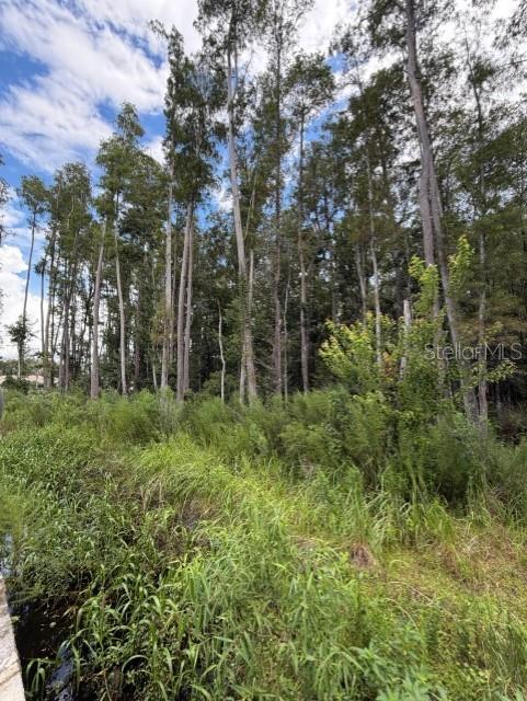 Photo of WESLEY CHAPEL BLVD LUTZ FL 33559