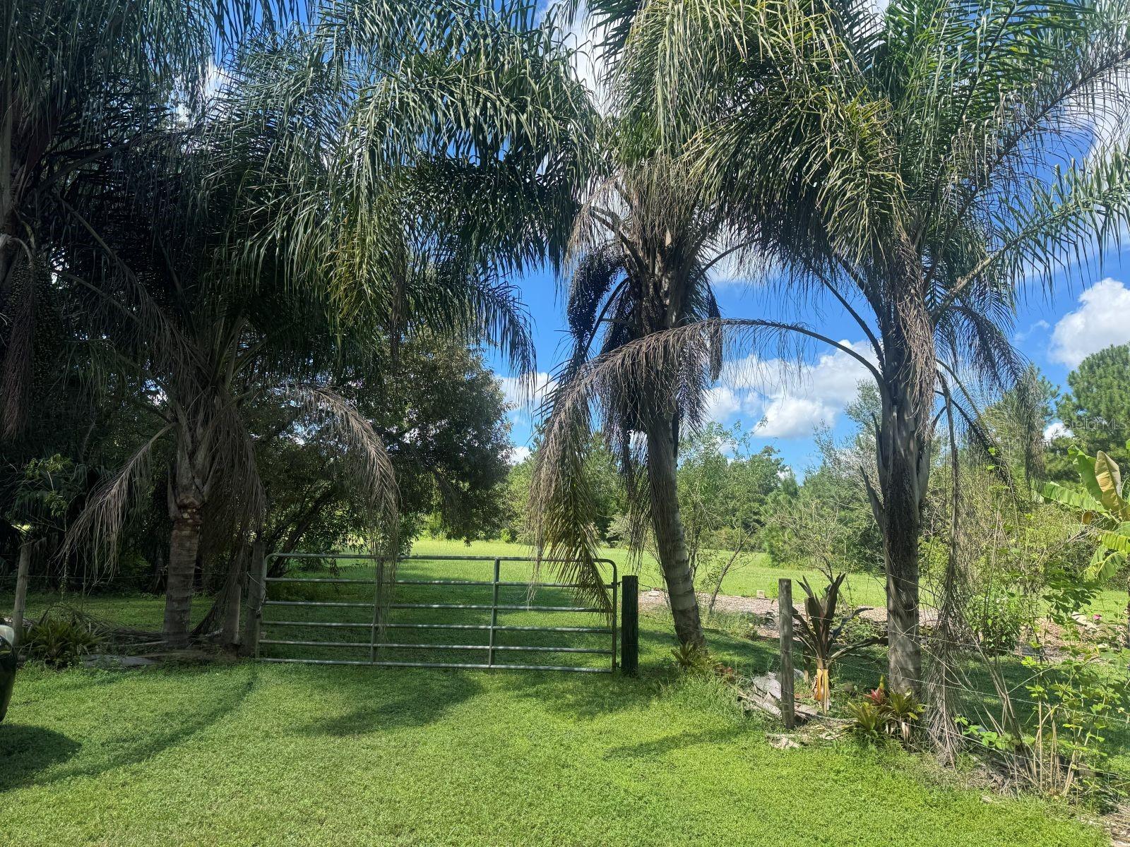 Photo of MECCA HAMMOCK TRAIL SANFORD FL 32773