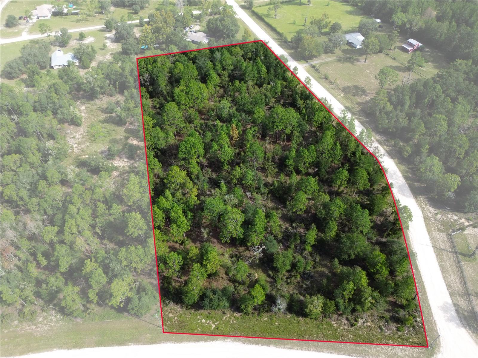 Photo of TBD NE 132ND COURT WILLISTON FL 32696