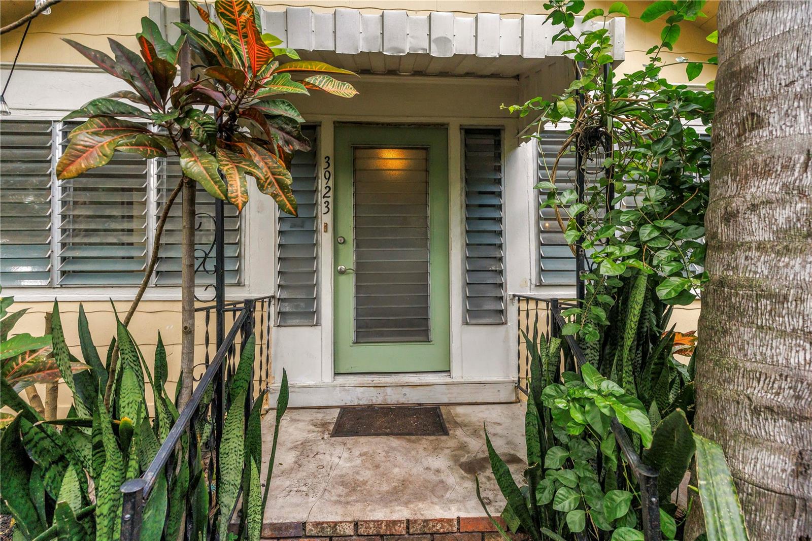 Photo of 3923 HAINES ROAD ST PETERSBURG FL 33703