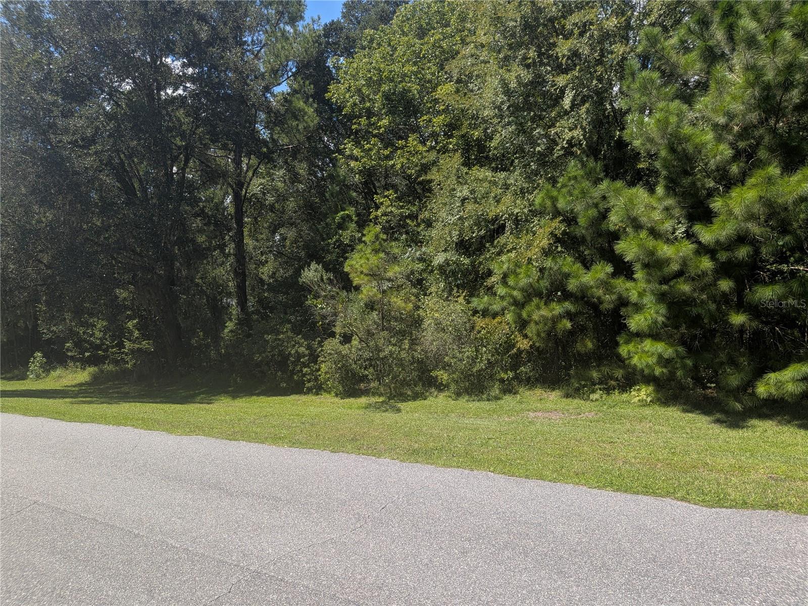 Photo of TBD NW 141ST AVE WILLISTON FL 32696