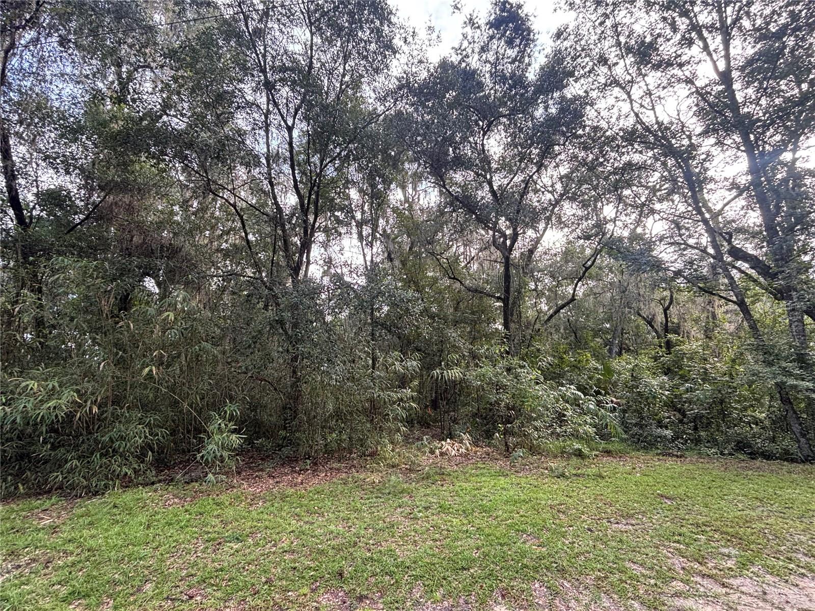 Photo of 190 SHE SHE ROAD HAWTHORNE FL 32640